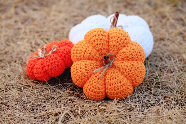 Pletená Dýně Zemi Koncepce Halloweenu — Stock fotografie