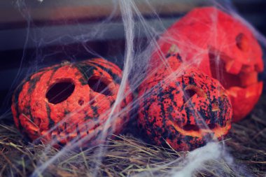 Samanların üzerinde örümcek ağıyla oyulmuş balkabakları.