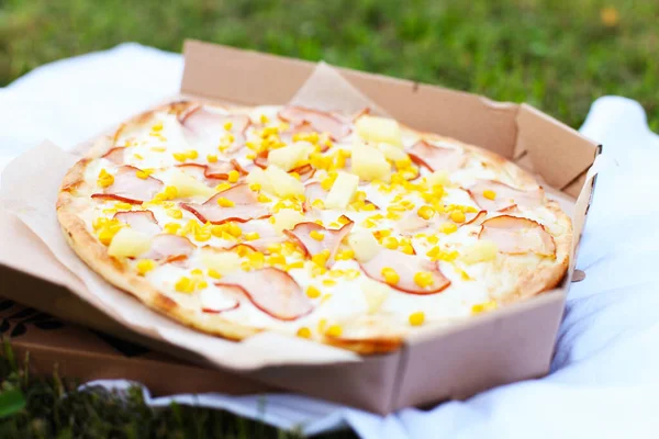 Pizza Hawaiian with pineapple and chicken, outdoor picnic, food to go, lunch in your garden