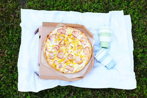 Pizza Hawaiana Con Piña Pollo Picnic Aire Libre Comida Para — Foto de Stock