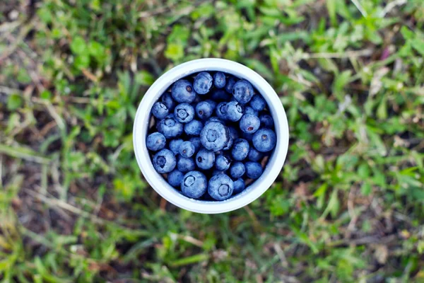 Silicone Cup Fresh Blueberries Blueberry Antioxidant Concept Healthy Eating Nutrition — Stock Photo, Image