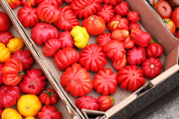 Frische Rote Tomaten Verschiedenen Formen Auf Dem Tisch — Stockfoto