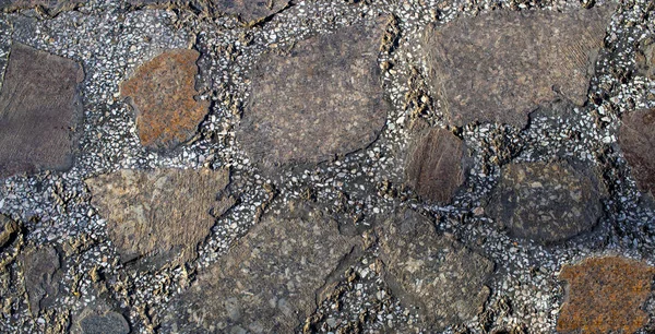 Textura Das Pedras Diferentes Tipos Estradas Parque — Fotografia de Stock