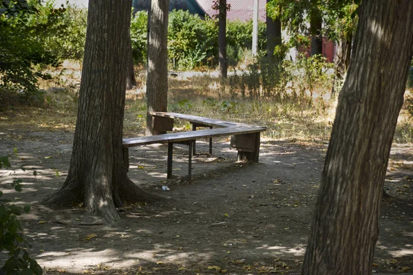 Bancs Dans Parc Sous Les Arbres — Photo