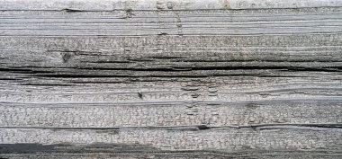 Yaşlı bir ağacın dokusu zamanla yandı..