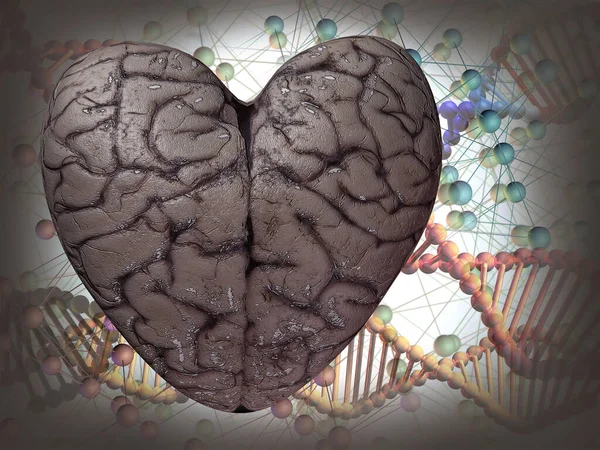 Modelo Corazón Humano Con Textura Cerebro Humano Renderizado —  Fotos de Stock