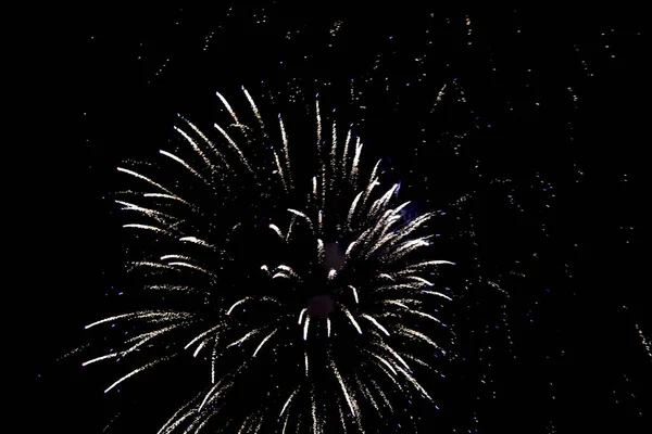 Fuegos Artificiales Cielo Nocturno — Foto de Stock