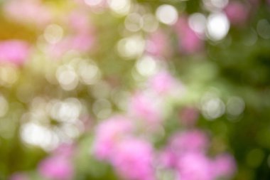 bokeh doğa yeşil ve çiçek