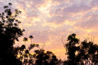 Sabahları beyaz bulutlar