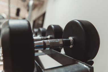 Fitness salonunda fitness ekipmanları