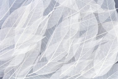 doku yatay arka plan beyaz ve gri yaprakları yaprakları