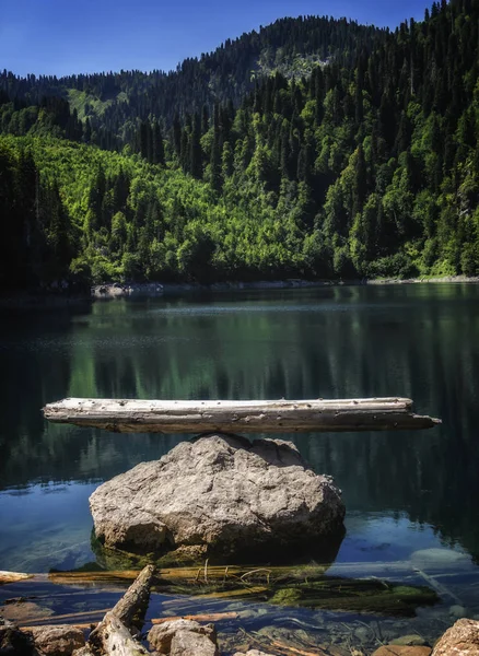 Árvore Equilíbrio Lago Montanha — Fotografia de Stock