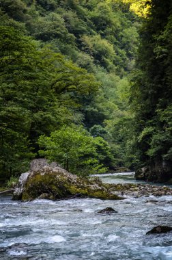 Rusya'da soğuk dağ nehir