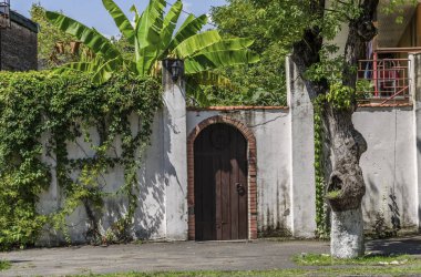 yeşil bitkiler ile örgülü taş çit