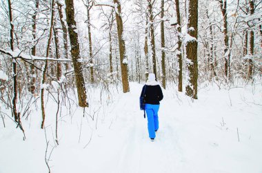 Kış ormanlarında yürü