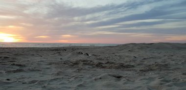 Baltık Denizi plaj, deniz, kıyı şeridi günbatımı yaz akşamları sırasında.