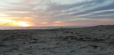 Baltık Denizi plaj, deniz, kıyı şeridi günbatımı yaz akşamları sırasında.