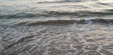 Baltık Denizi plaj, deniz, kıyı şeridi günbatımı yaz akşamları sırasında. 