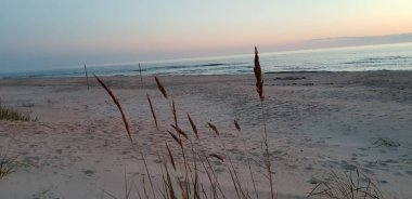 Baltık Denizi plaj, deniz, kıyı şeridi günbatımı yaz akşamları sırasında. 