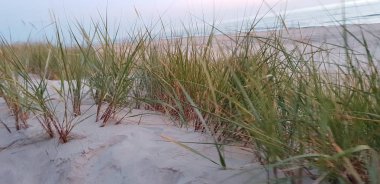 Baltık Denizi plaj, deniz, kıyı şeridi günbatımı yaz akşamları sırasında. 