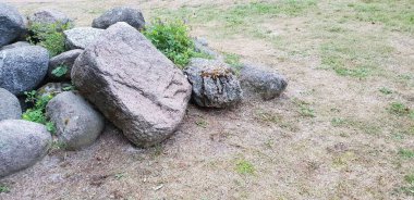 Güzel büyük taş orman yere serme kazık. Arka plan ve bir araya taş dokusuna.