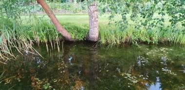 Gölet su Bataklığı'nın