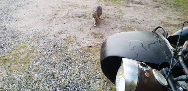 Hala kadar antika ayakta benzersiz eski motosiklet