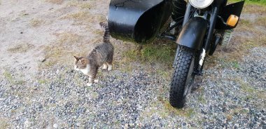 Hala kadar antika ayakta benzersiz eski motosiklet