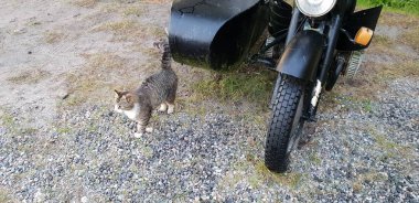 Hala kadar antika ayakta benzersiz eski motosiklet