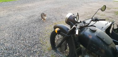 Hala kadar antika ayakta benzersiz eski motosiklet