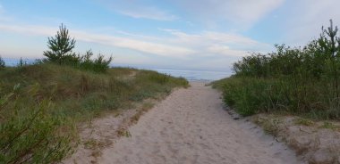 Dunes sabah Baltık Denizi, sahil için bir yol plaj.