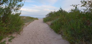 Dunes sabah Baltık Denizi, sahil için bir yol plaj.