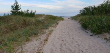 Dunes sabah Baltık Denizi, sahil için bir yol plaj.