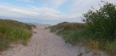 Dunes sabah Baltık Denizi, sahil için bir yol plaj.