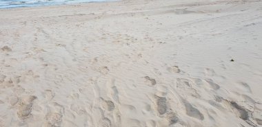 Baltık Denizi plajın kumları