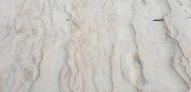 Baltık Denizi plajın kumları