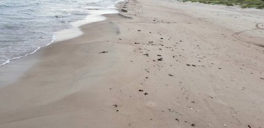 Baltık Denizi plaj sabah