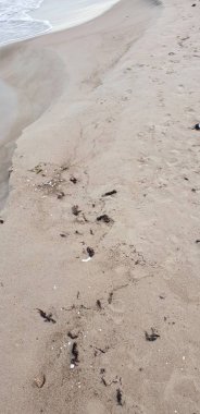 Baltık Denizi plaj sabah