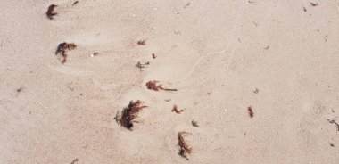 Baltık Denizi plajın kumları