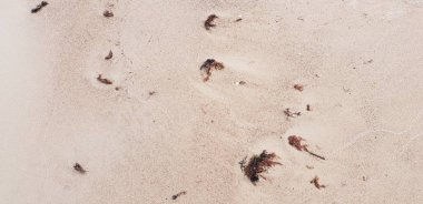 Baltık Denizi plajın kumları