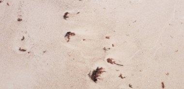 Baltık Denizi plajın kumları