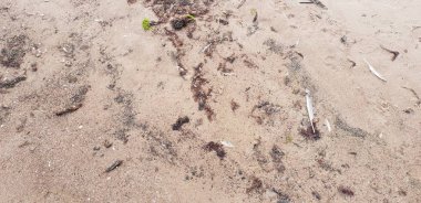 Baltık Denizi plajın kumları