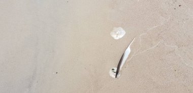 Baltık Denizi plajın kumları