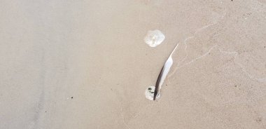 Baltık Denizi plajın kumları