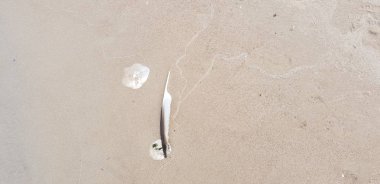 Baltık Denizi plajın kumları