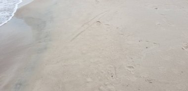 Baltık Denizi plajın kumları