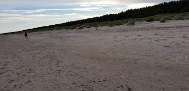 Baltık Denizi plaj sabah