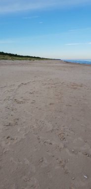 Baltık Denizi plaj sabah