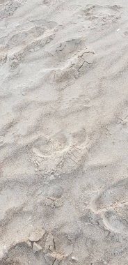 Baltık Denizi plajın kumları