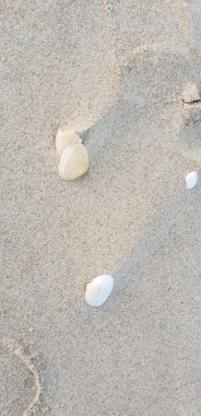 Baltık Denizi plajın kumları